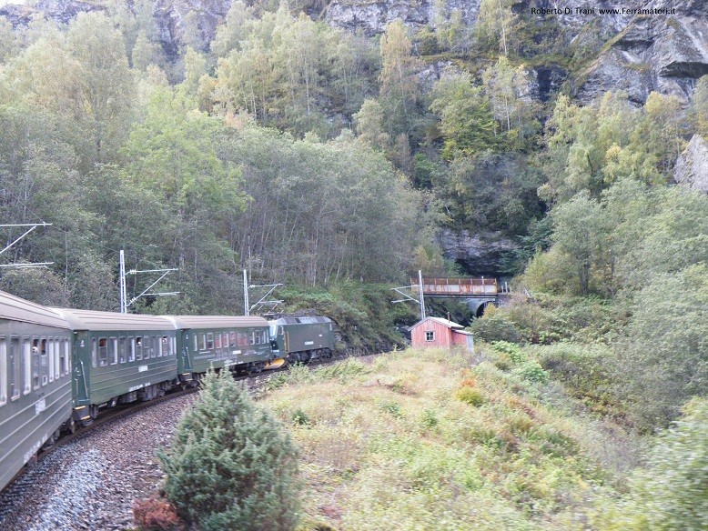 NORVEGIA 28-09 02-10 520.jpg