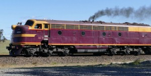 Class 42 (NSW 4204)b.jpg