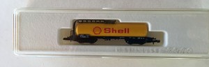 Shell!.jpg