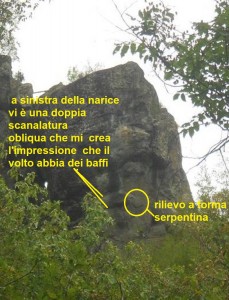 volto-megalitico-di-borzone baffi.jpg