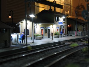 IMG_0361.jpg