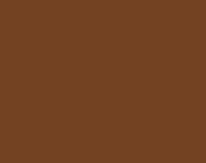 8003 Marrone fango Castano.jpg