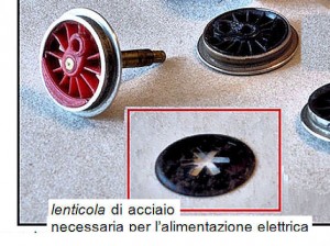 lenticola.jpg