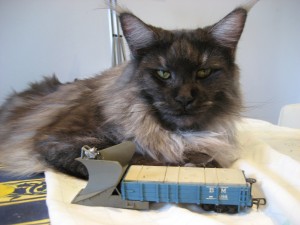 Mici e Treni 002.jpg