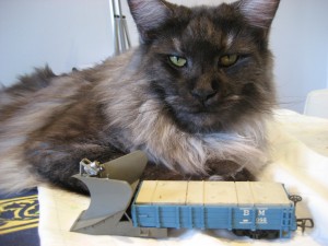 Mici e Treni 001.jpg