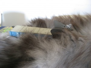 Mici e Treni 007.jpg