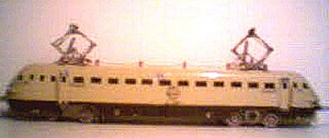Littorina el.Conti Ale880.....jpg