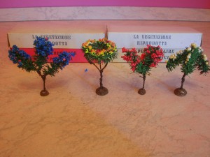 piante p.p.m 006.JPG