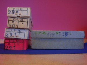 piante p.p.m 004.JPG