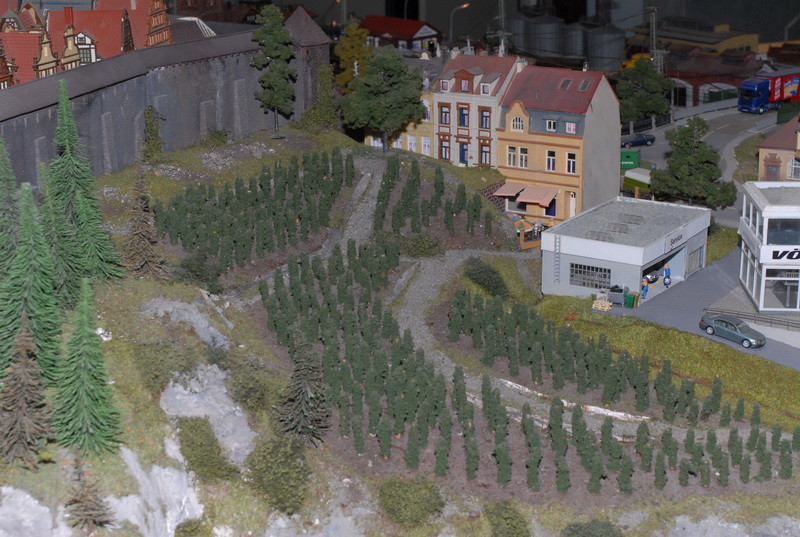 DSC_0348_resize.JPG