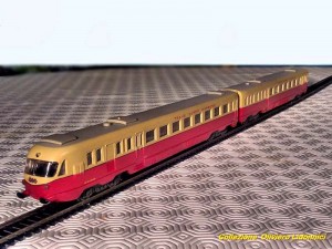 TEE RR modello.jpg
