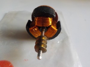 lima ric. motor..jpg