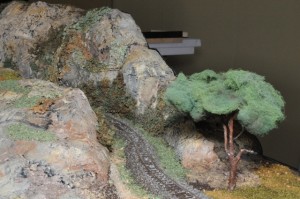 DSC_5105.JPG