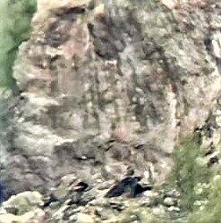 testa misteriosa di orientale f.b - Copia (5) - Copia.jpg