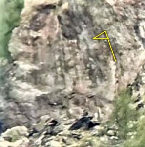presunta alabarda stilizzata evidenziata in giallo.jpg