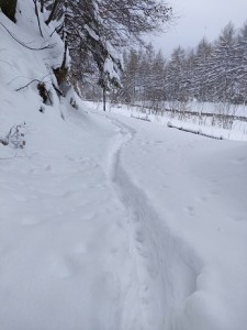 2477 Ridotta.jpg
