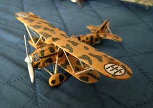 IMG20240710163306sd.jpg