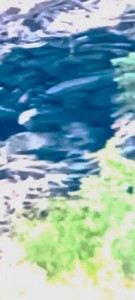20240802_172439.jpg