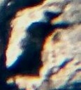 ombra nera - Copia - Copia.jpg