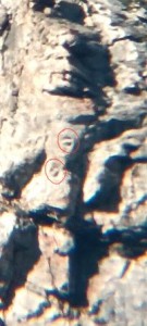 2 cerchi sul busto.jpg