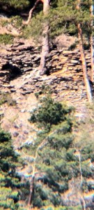 resti di mura 2.jpg