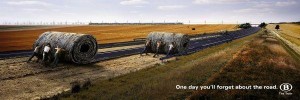 belgian-railways-rolls-small-30415.jpg