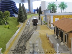 IMG_0877wtmk.JPG