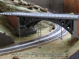 IMG_1000.jpg