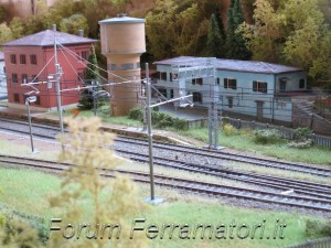IMG_1010.jpg