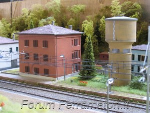 IMG_1009.jpg
