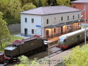 IMG_1006.jpg