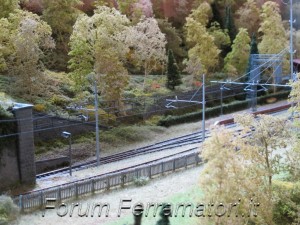 IMG_1004.jpg