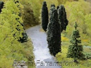IMG_1002.jpg
