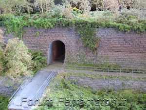 IMG_1018.jpg