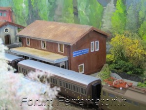IMG_1017.jpg