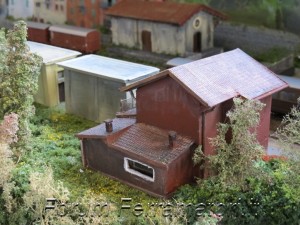 IMG_1016.jpg