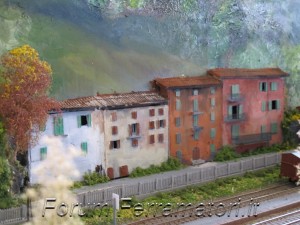 IMG_1015.jpg