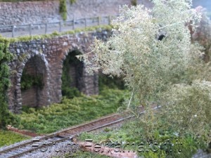 IMG_1013.jpg