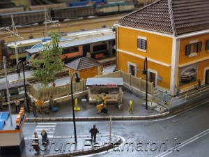IMG_1029.jpg