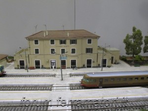 IMG_1275.jpg