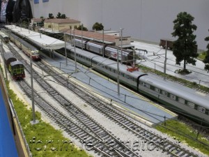 IMG_1290.jpg