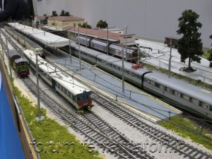 IMG_1289.jpg