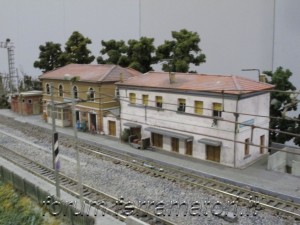IMG_1286.jpg
