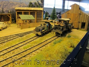 IMG_1172.jpg