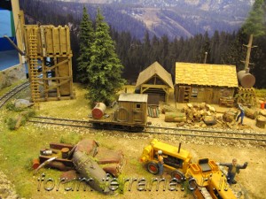 IMG_1171.jpg