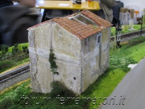IMG_1268.jpg