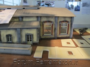 IMG_1124.jpg