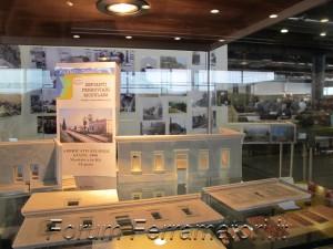 IMG_1117.jpg